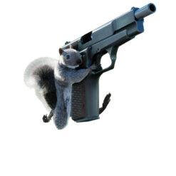 بازی Squirrel with a Gun مخصوص PS5